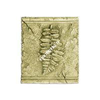 Декоративное панно на стену Fabello Decor W 8010D
